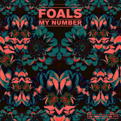  Foals - My Number - Totally Enormous Extinct Dinosaurs Remix