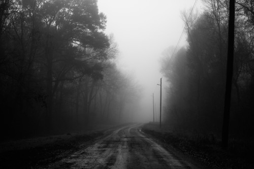 Road-through-the-Foggy-Woods-Near-Baton-Rouge-LA-2013-RQ0A0238-black-and-white-photograph-by-Keith-Dotson