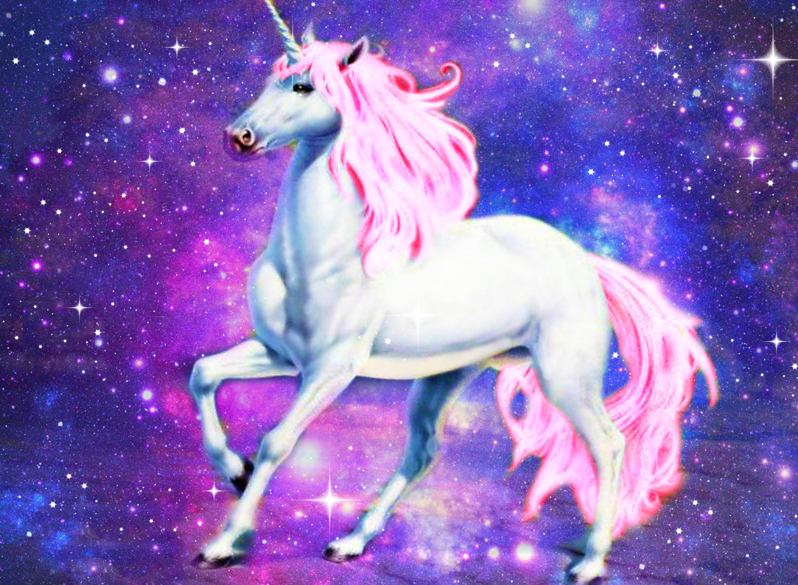 unicorn-01.jpg