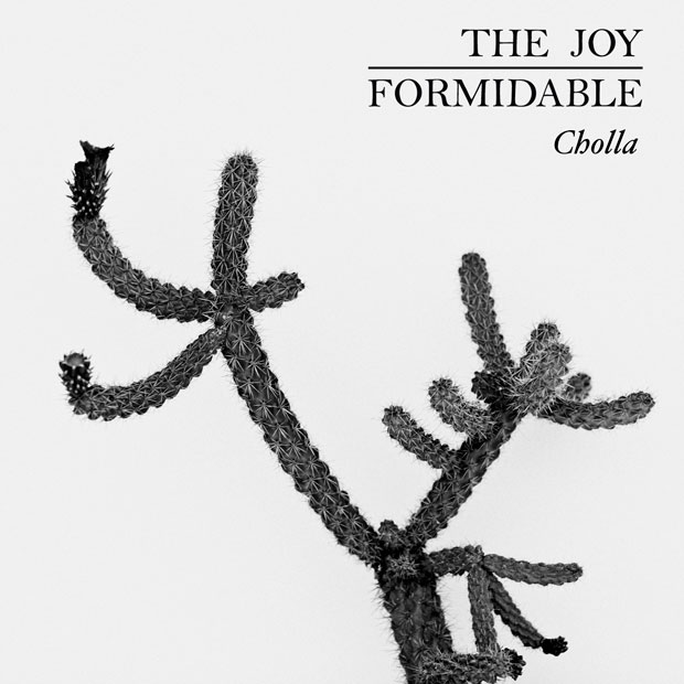 The-Joy-Formidable