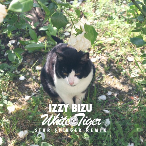 [DANCE/HOUSE] Izzy Bizu – “White Tiger” (Star Slinger Remix)