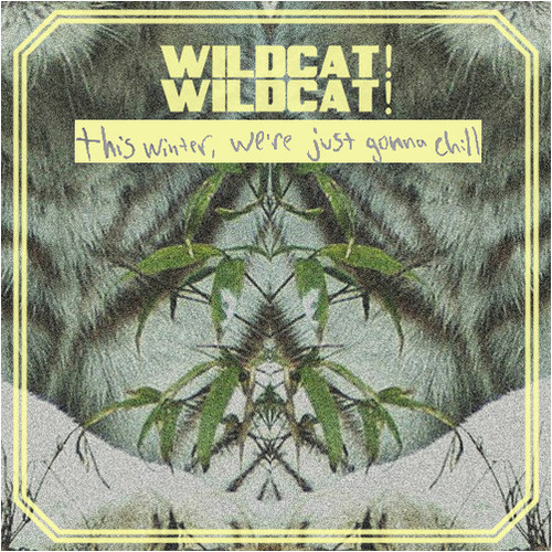 [QUICK MIX – CHILL] Wildcat! Wildcat! – ‘this winter, we’re just gonna chill’