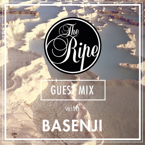 [QUICK MIX – CHILL/ELECTRONIC] Basenji – The Ripe Guest Mix