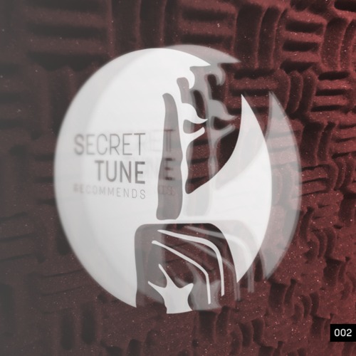 [QUICK MIX – TECH/DEEP HOUSE]  Secret Tune Records – Secret Tune Recommends #002