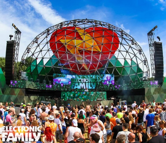 electronic family 2014