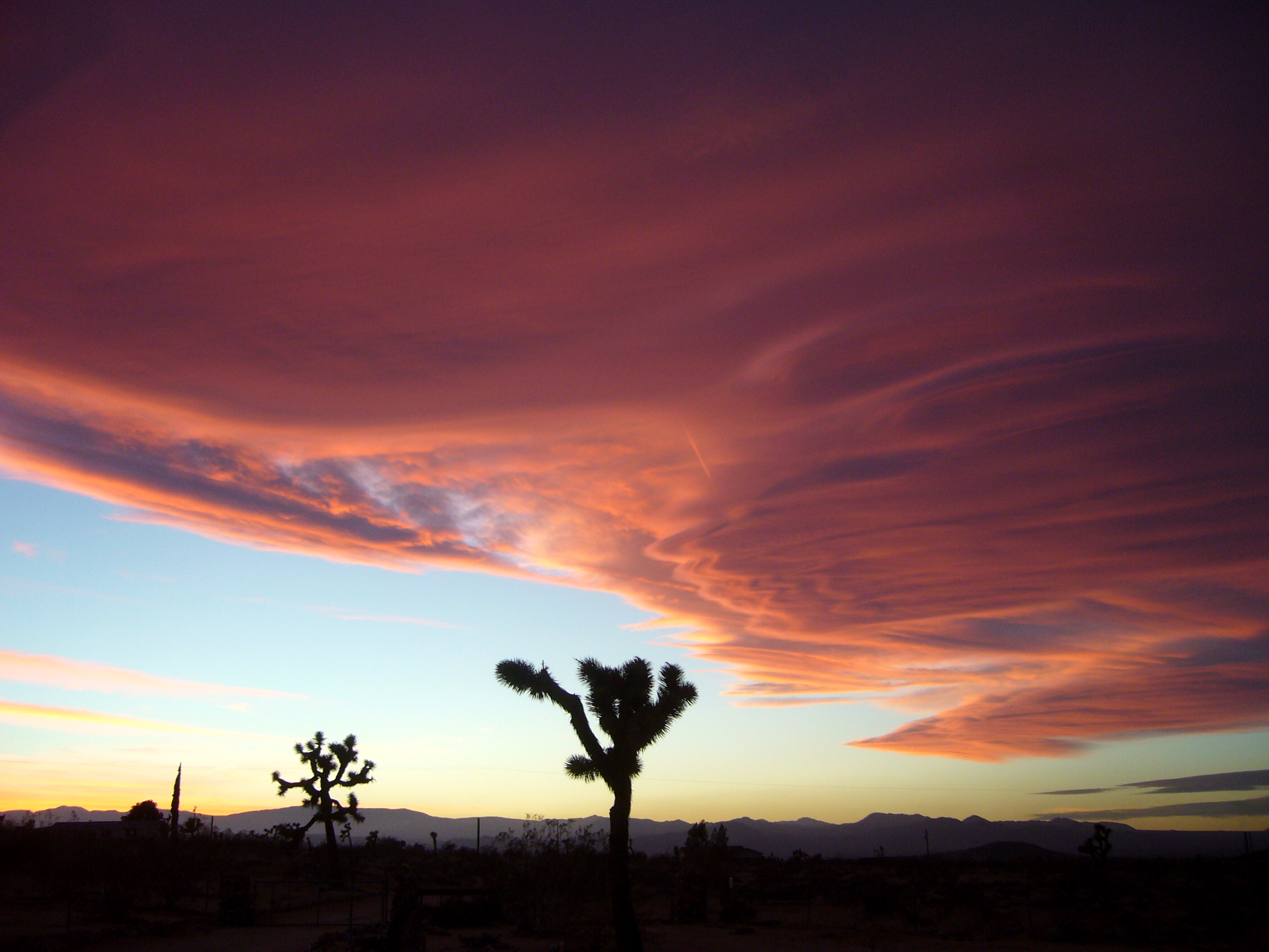 [GOODSEX TIPS] Gathering Anniversary Brings Good Vibes to the Mojave Desert