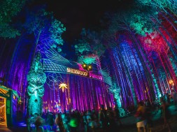 Electric-Forest