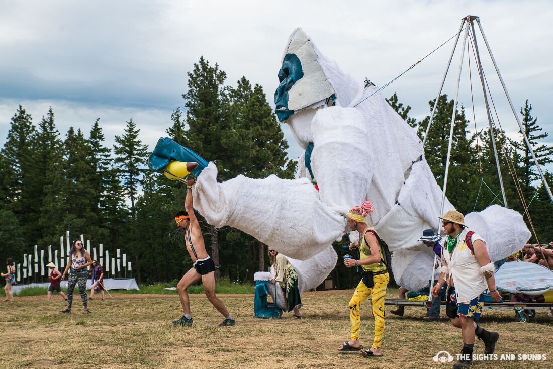 Best In Show: How What The Festival Turns Attendees Into Performers