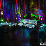 Electric Forest 2017 photos - The Sights And Sounds - Photo by: Chris McKay/Grace Fleisher